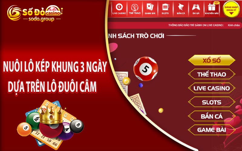 Nuôi lô kép khung 3 ngày dựa trên lô đuôi câm